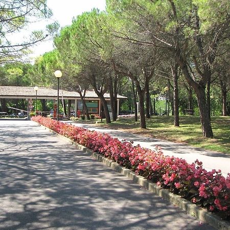 Belvedere Pineta Camping Village Aquiléia Esterno foto